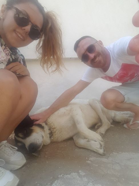 La vostra foto più divertente! 📸 - 1
