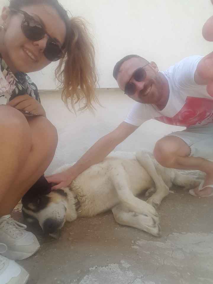 La vostra foto più divertente! 📸 - 1