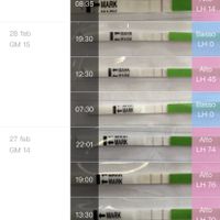 Chi non le aspetta per Marzo 2020 - 1