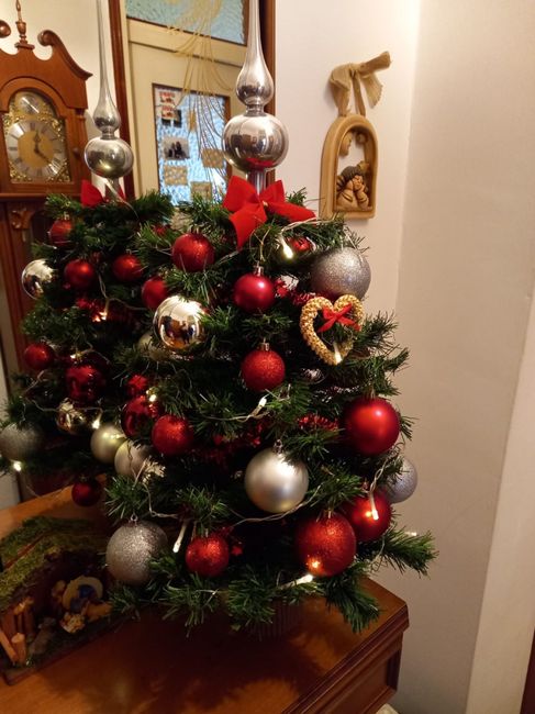 🎄 8 dicembre: l'albero di Natale 13