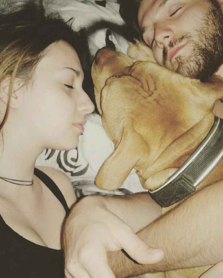 "divieto di detenere animali" - 2