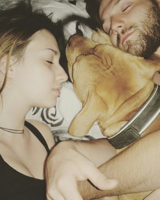 "divieto di detenere animali" - 2