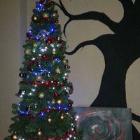 Natale in casa nostra... - 1