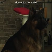 Ecco il nostro "bimbo" - 1