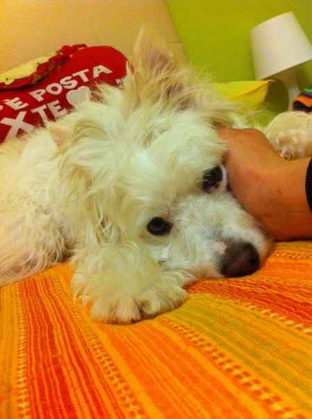 Oggi vi presento i nostri "mimmi" :) - 2