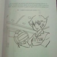 appassionati di pallavolo