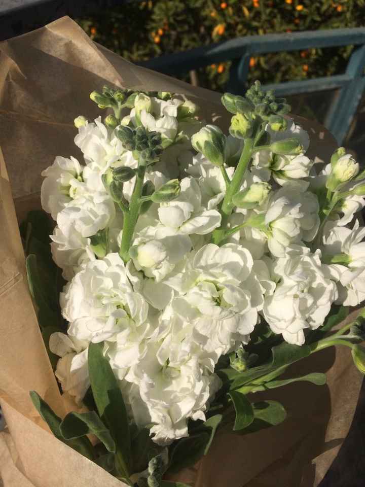 I fiori che vorrei per le mie nozze... - 1