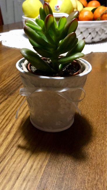  Vi piacerebbe ricevere questa bomboniera?? - 3