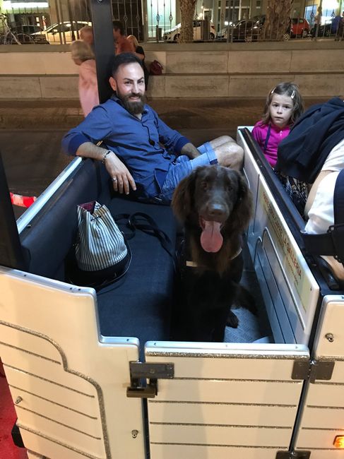  Vivere insieme ad...un animale domestico! - 5