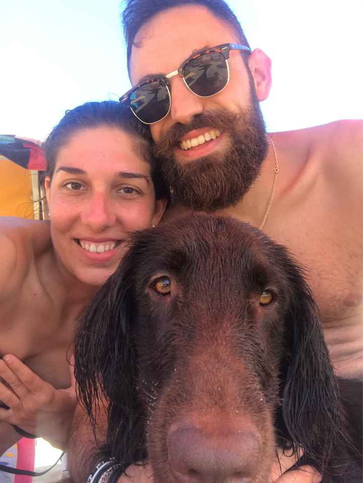  Vivere insieme ad...un animale domestico! - 1