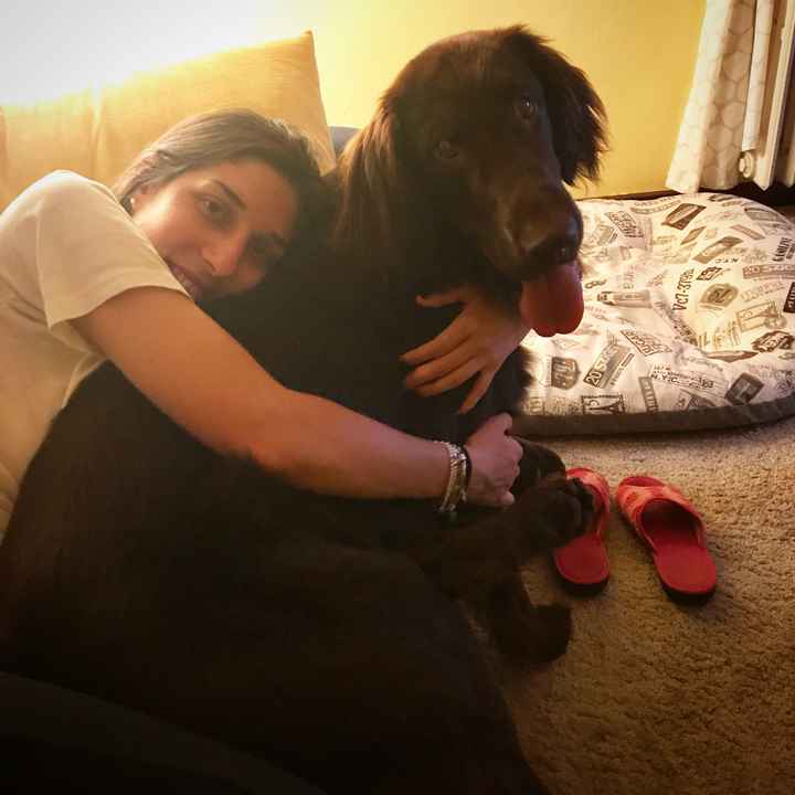  Vivere insieme ad...un animale domestico! - 6