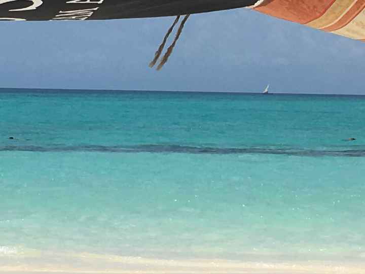  Zanzibar ❤️ - 2