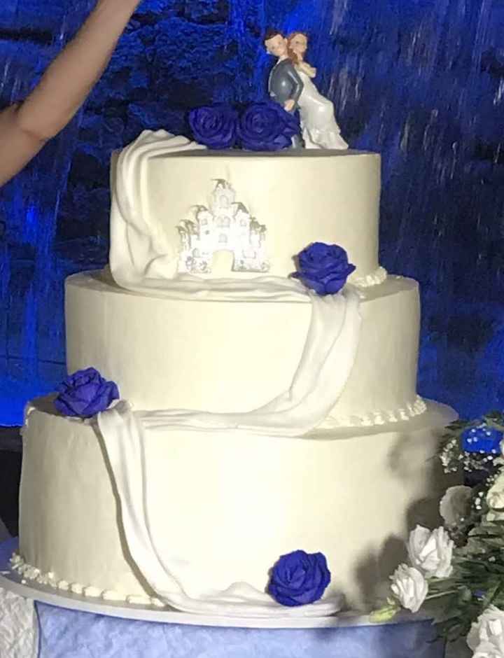 Torta (il castello era di carta, avrebbero dovuto appoggiarlo con gli stecchini in dotazione, invece