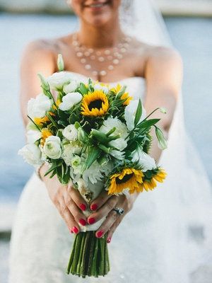 girasoli lisihantus 1