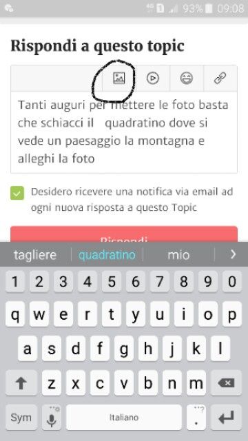 Finalmente sposi - 1