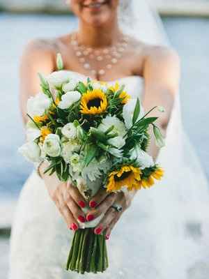 girasoli lisihantus 1