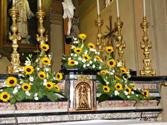 girasoli lisihantus 2