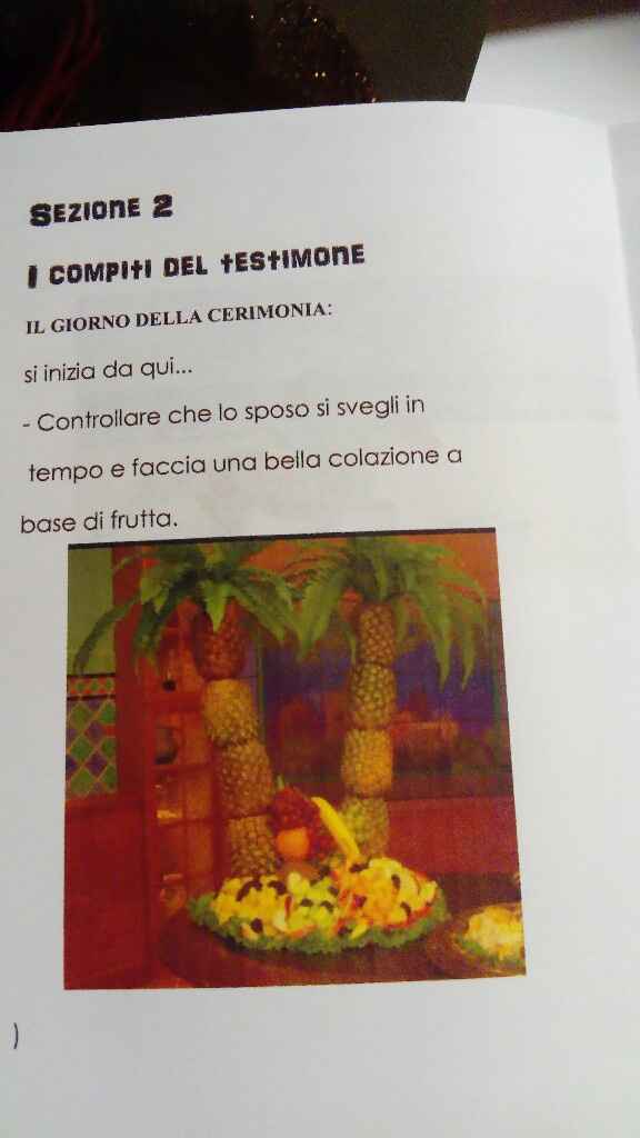  Manuale perfetto testimone ✅ - 8