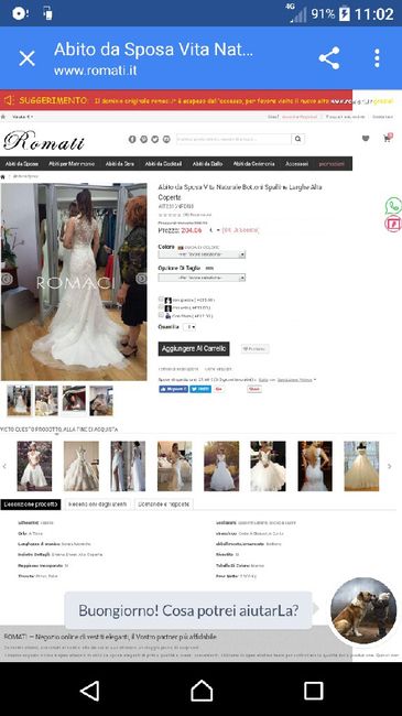 La sezione il mio vestito da sposa non è sicuro, rubano le immagine per mettere i vestiti sui siti cinesi!!!! 3