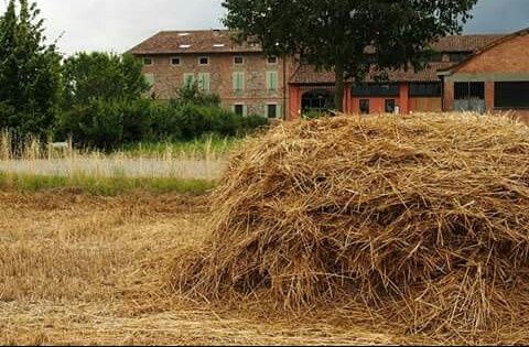 Club della sposa country - 4 - 3