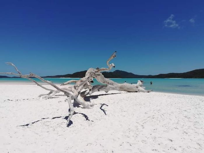 Viaggio di nozze..piano B! 1