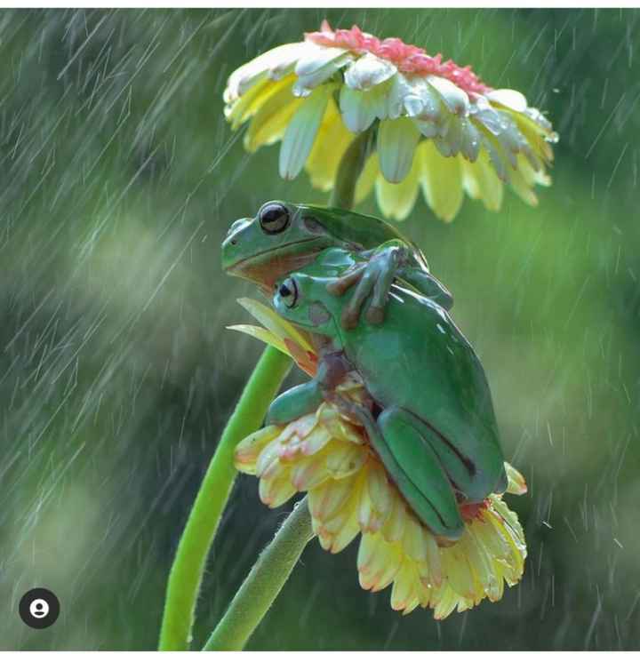 Postate una foto di voi due 👇 - 1