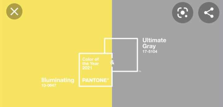 Matrimonio stile jane austen - 1