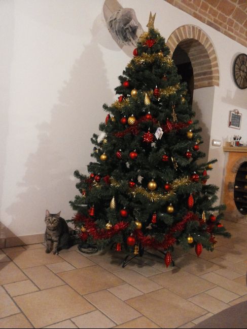 Il vostro albero di Natale! - 1