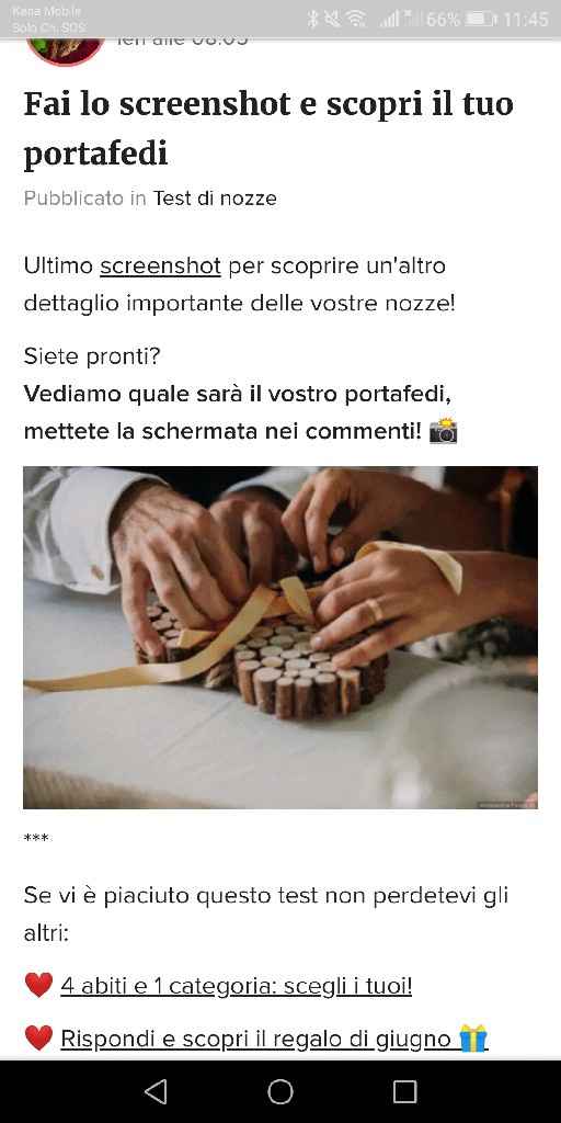 Fai lo screenshot e scopri il tuo portafedi - 1