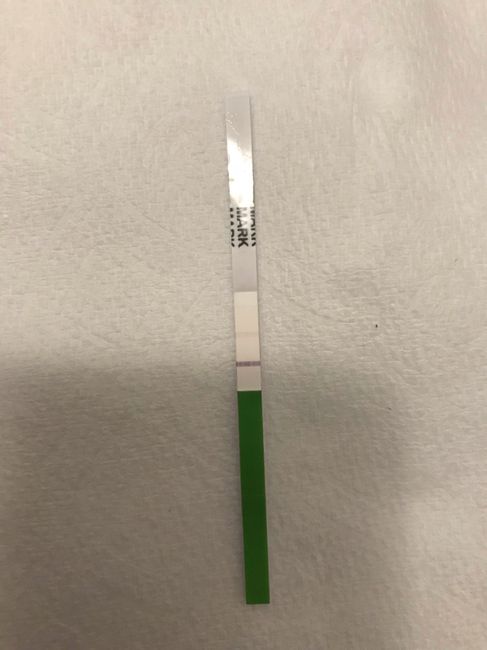 Cacciatrici di cicogne e non a me! 😂 - 1