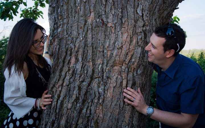 Intorno all'imponente albero