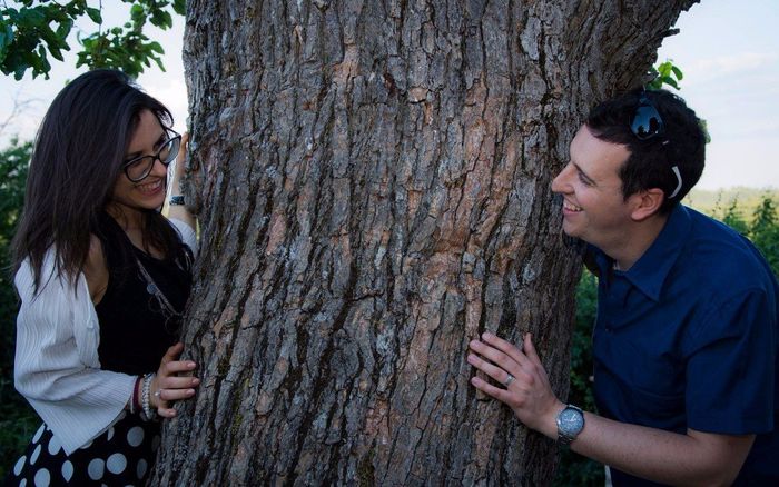 Intorno all'imponente albero