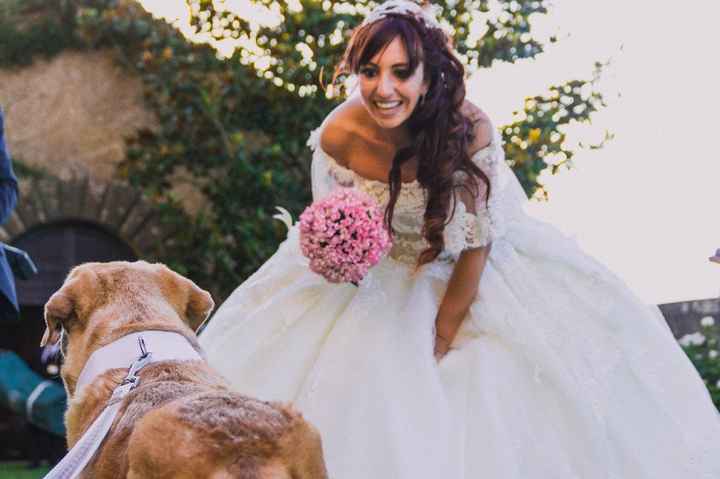 Dog sitter wedding - 2