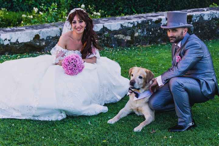 Dog sitter wedding - 3