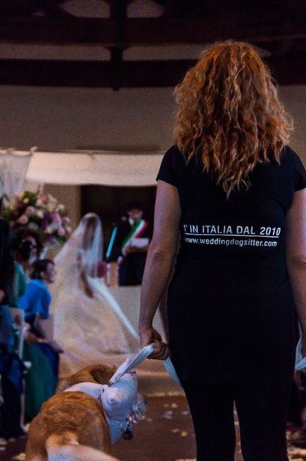 Dog sitter wedding - 1