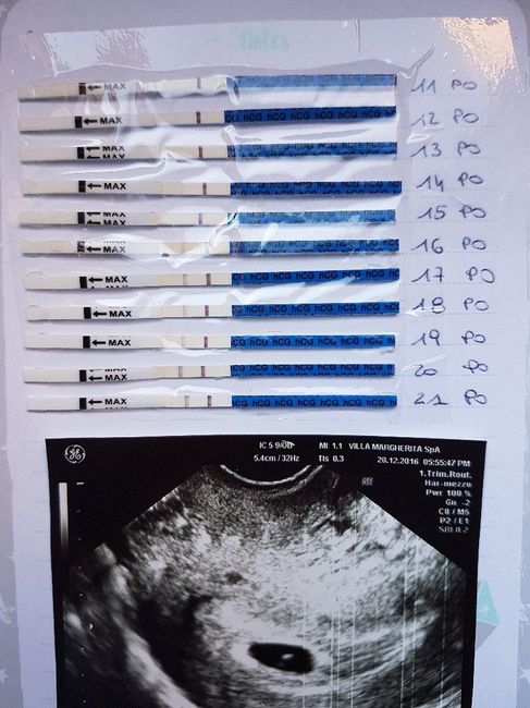 8 po  test canadese gravidanza 1