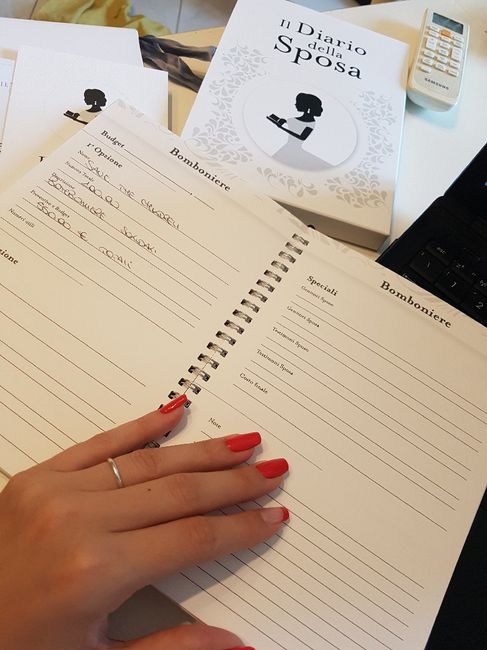 Il mio diario della sposa. - 11