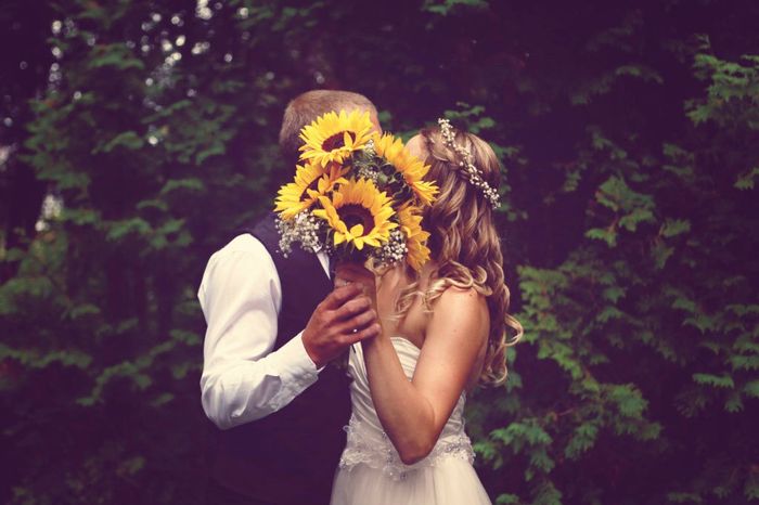 Girasoli!