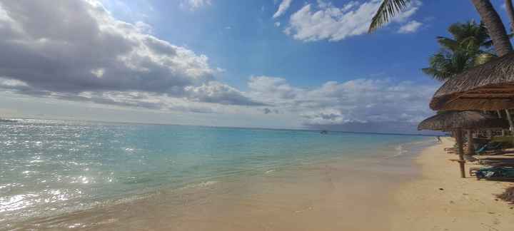 Viaggio di nozze: quale meta? - 2