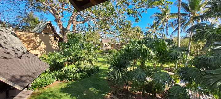 Viaggio di nozze: quale meta? - 3