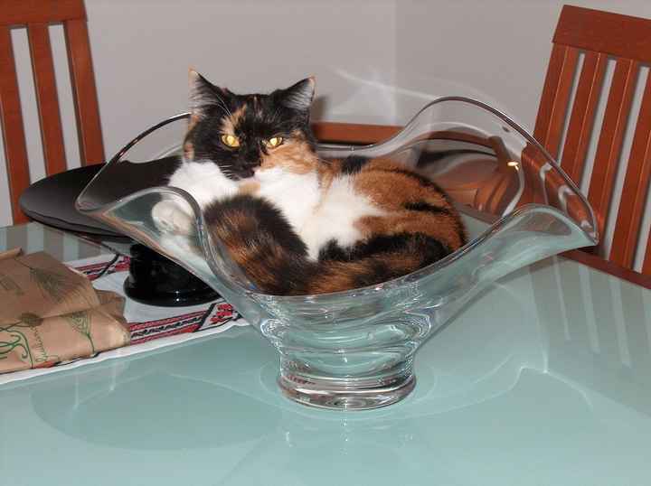 Centrotavola semplice e d'effetto XD