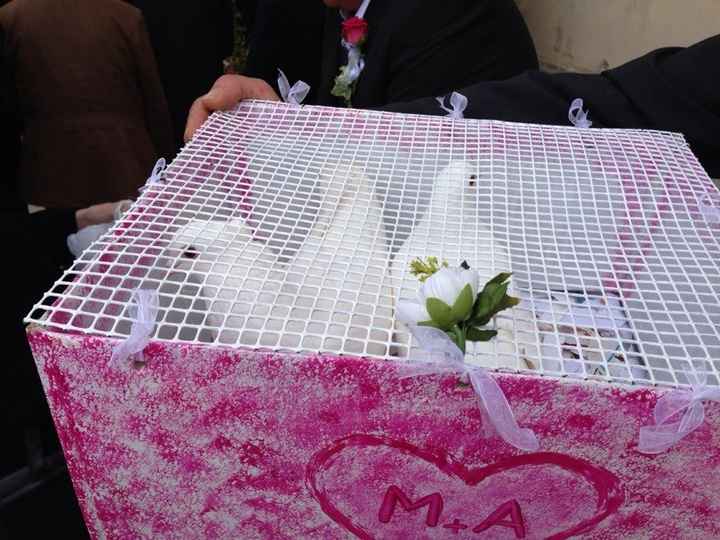 Scatola dei colombi...