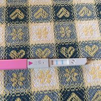 Test ovulazione positivo 12 po - 1