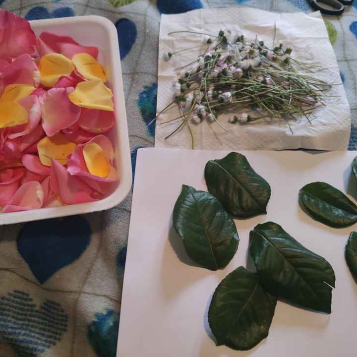 Realizzò i miei "coriandoli" Naturali... - 1