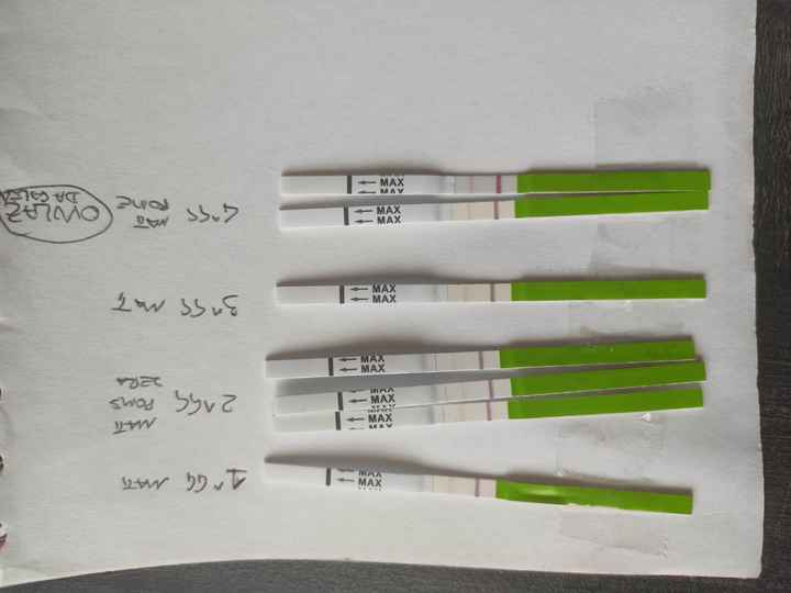 test ovulazione canadesi e paura - 1