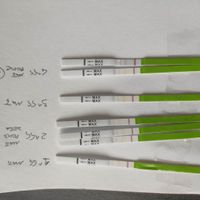 test ovulazione canadesi e paura - 1