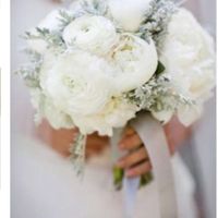  Sposi che celebreranno le nozze il 6 Dicembre 2018 - Napoli - 5