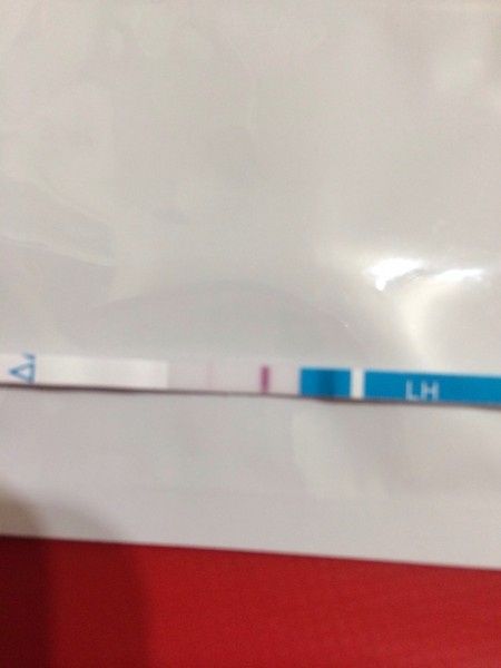 Test ovulazione wondfo blu  - 1