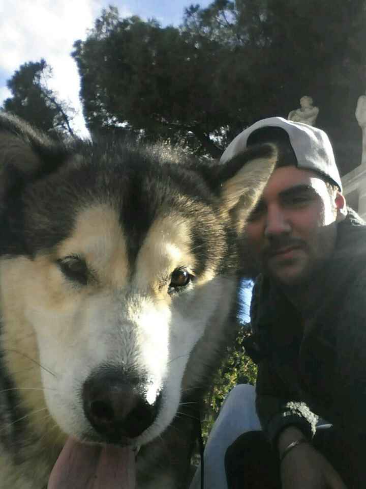 Too cute: i vostri amici animali - 4