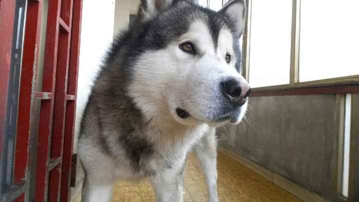 Regalo di san valentino anticipato - 2